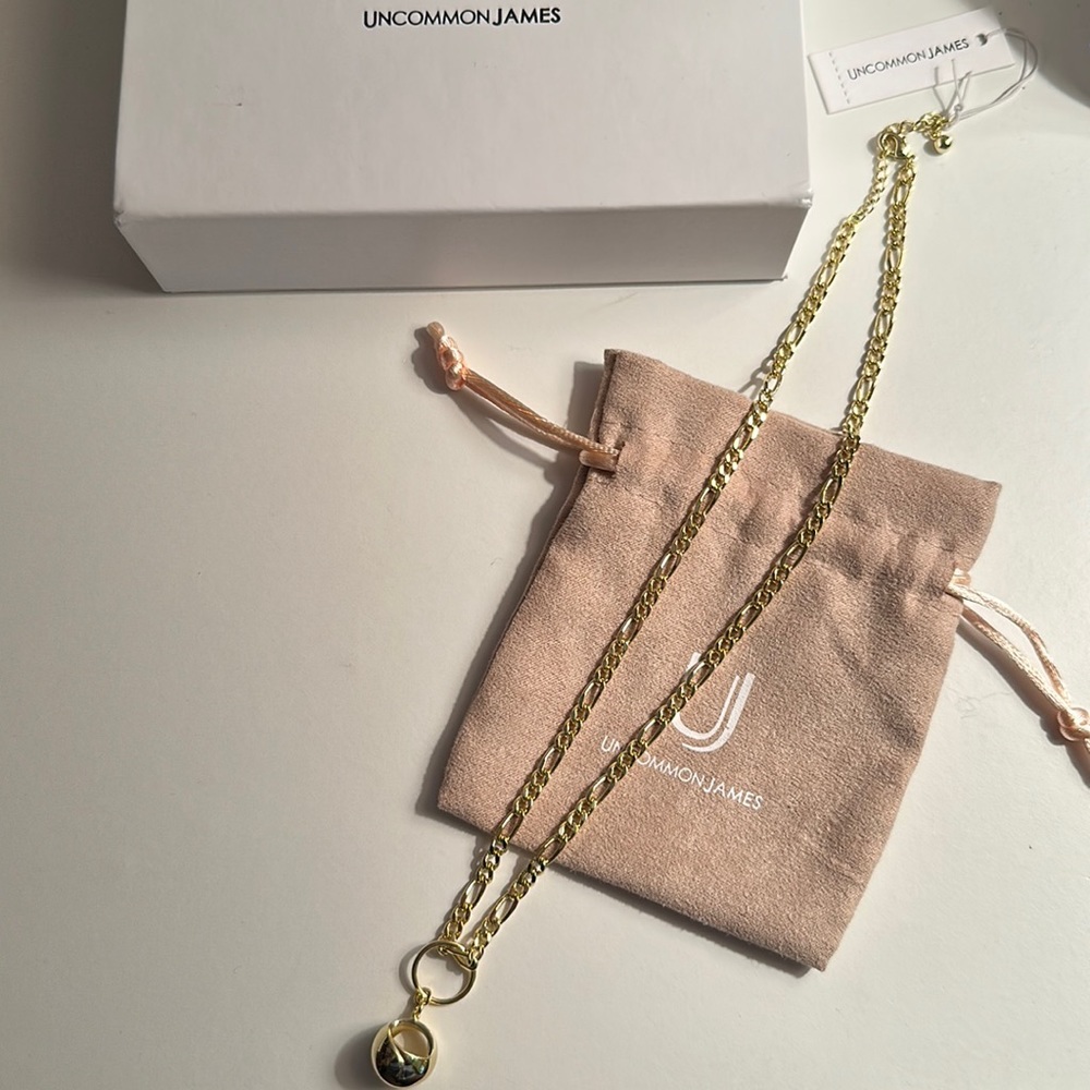 NWT Carefree Uncommon James Necklace